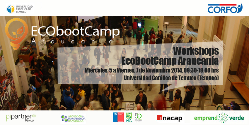 banner bootcamp temuco